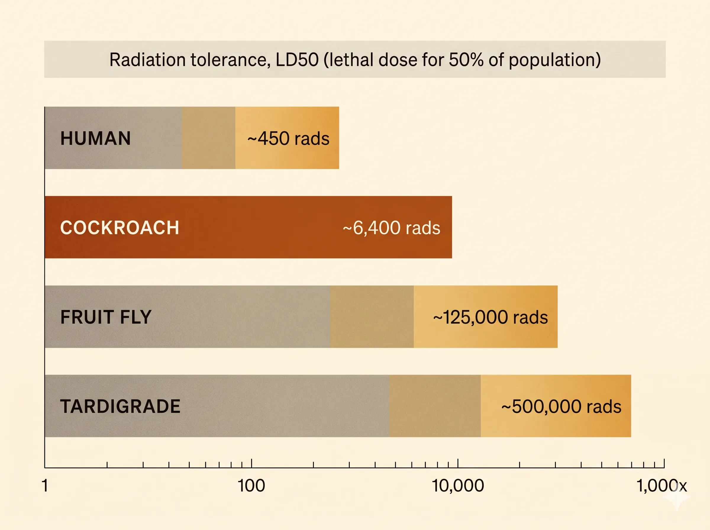 Editorial horizontal bar chart on a warm cream background showing radiation LD50 on a logarithmic scale. Four bars from top to bottom: Human at 450 rads, Cockroach at 6,400 rads (highlighted in deep terracotta), Fruit Fly at 125,000 rads, Tardigrade at 500,000 rads