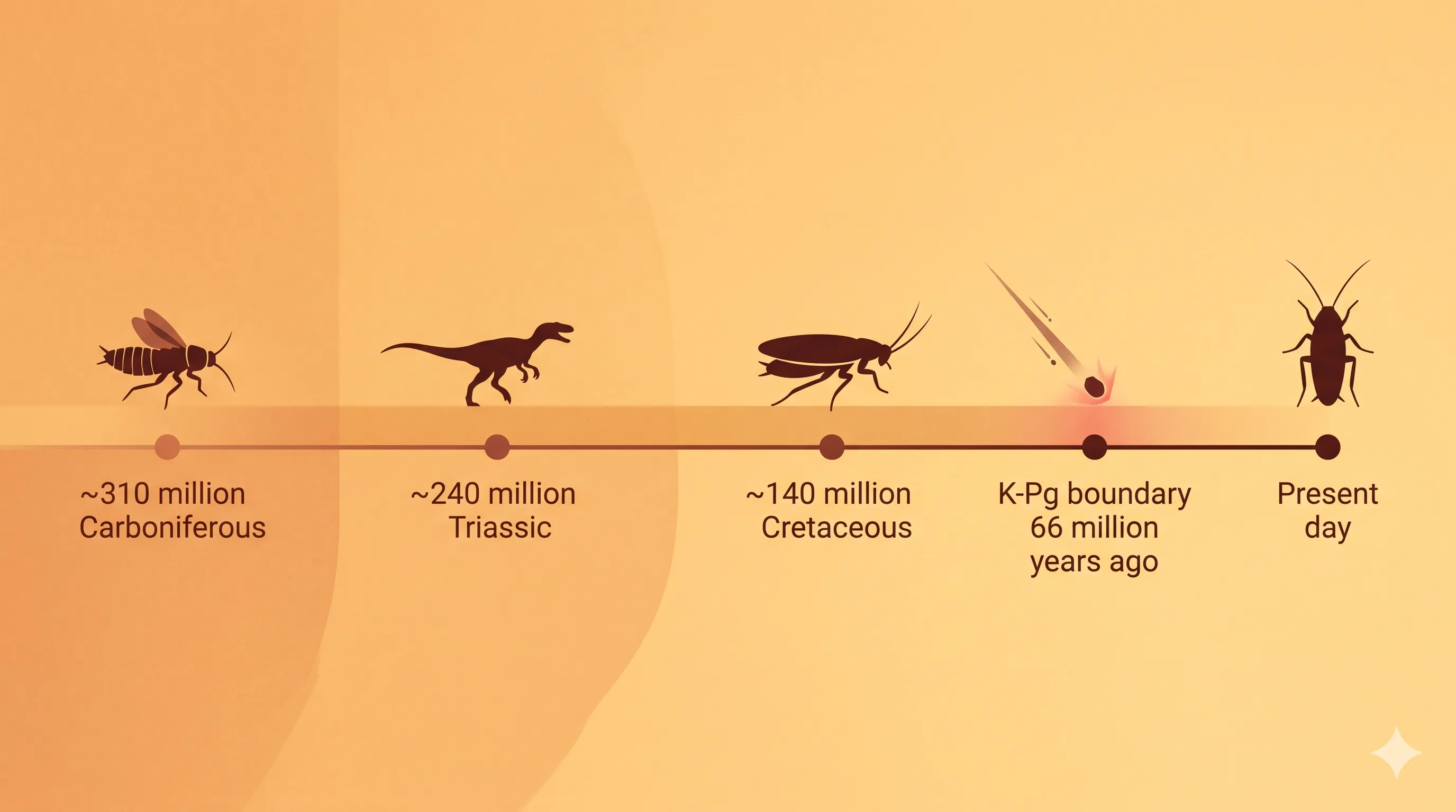 Editorial timeline illustration showing five geological markers: a roachoid ancestor at ~310 million years ago, the first dinosaurs at ~240 million years ago, the modern cockroach body plan at ~140 million years ago, the K-Pg mass extinction asteroid at 66 million years ago, and the modern cockroach at present day, on a warm amber background